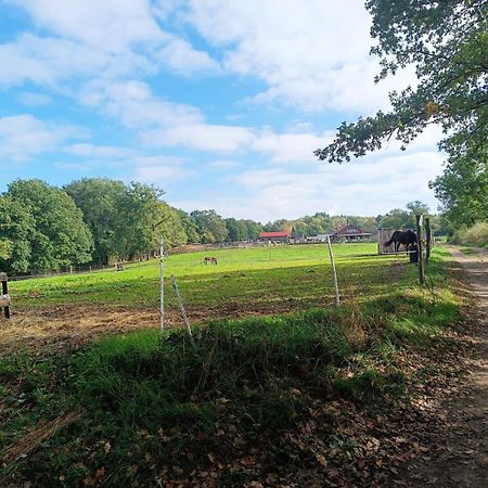 Cap Nature - T3 Et T4 En Perigord Vert - Ideal Pros Et Groupes Max 18P Champniers-et-Reilhac Zewnętrze zdjęcie