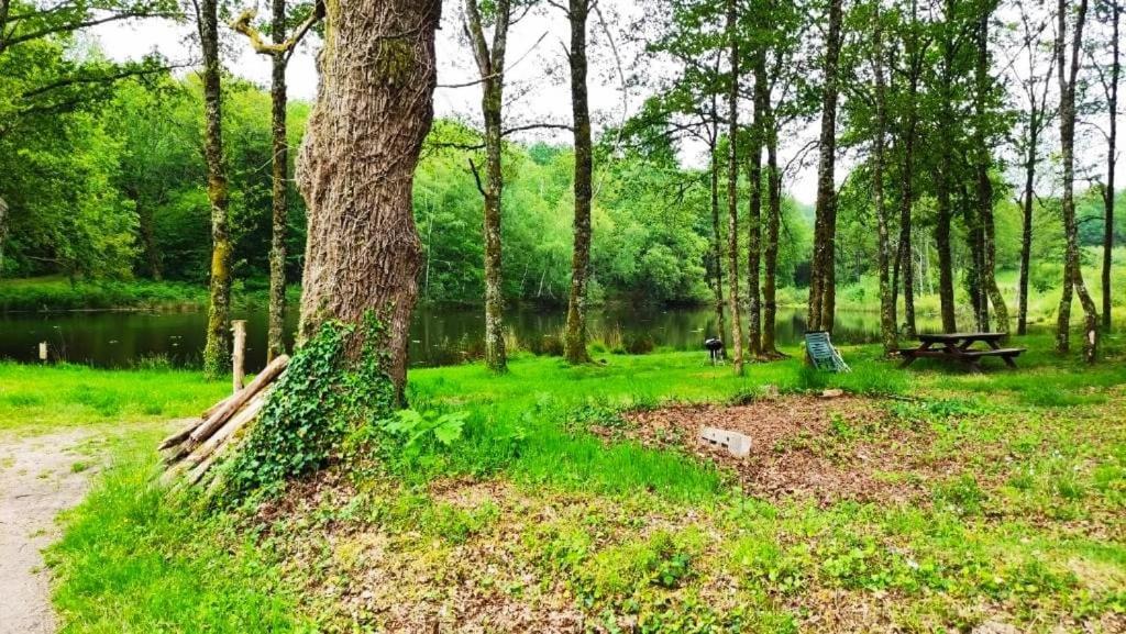 Cap Nature - T3 Et T4 En Perigord Vert - Ideal Pros Et Groupes Max 18P Champniers-et-Reilhac Zewnętrze zdjęcie