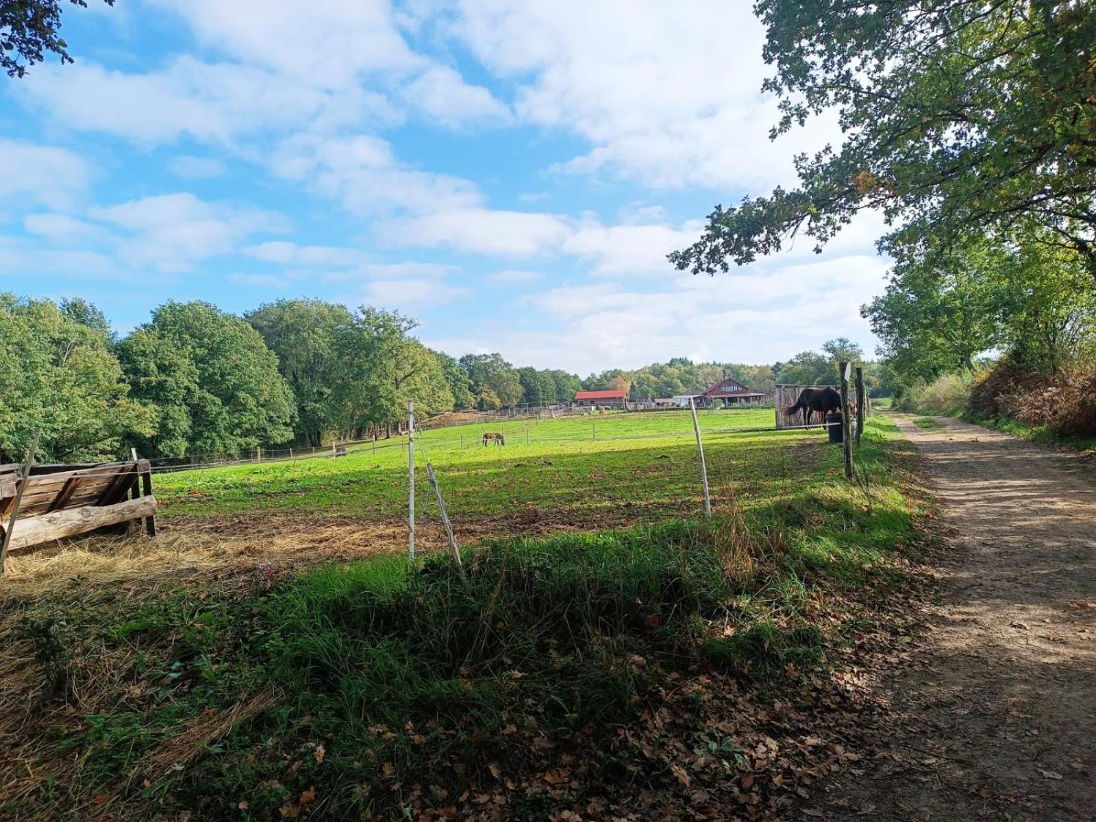 Cap Nature - T3 Et T4 En Perigord Vert - Ideal Pros Et Groupes Max 18P Champniers-et-Reilhac Zewnętrze zdjęcie